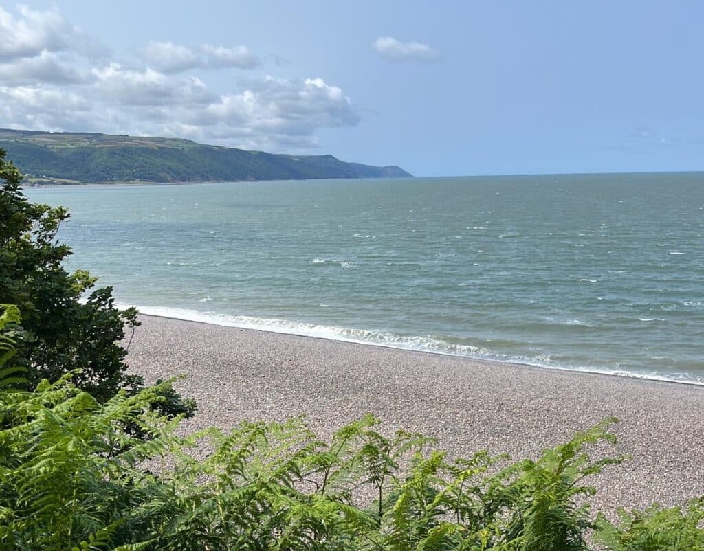 49a5614f-4f5a-4657-882e-c70d15f9f07e