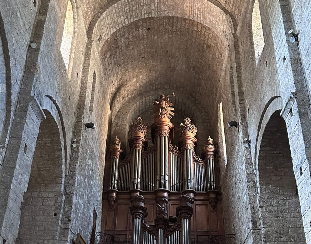 processed-17CF20E6-94F7-415B-994F-407006EEF467